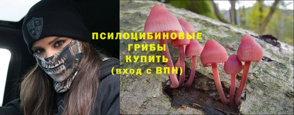 mix Снежинск