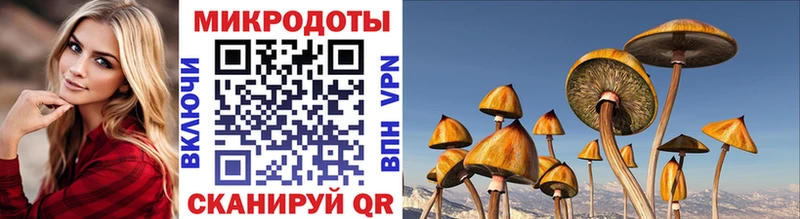 Галлюциногенные грибы мухоморы  купить   Новодвинск 